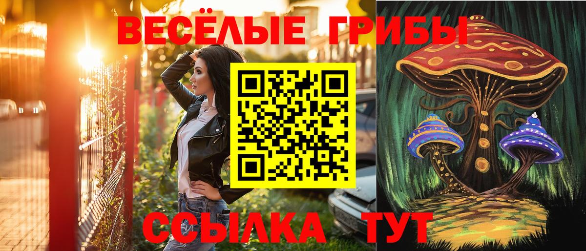 Павлово  Псилоцибиновые грибы Psilocybe  Вход с VPN  Галлюциногенные грибы MAGIC MUSHROOMS 